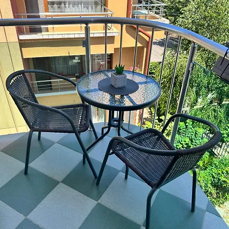 Stedy Guest house