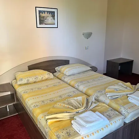 Stedy Guest house