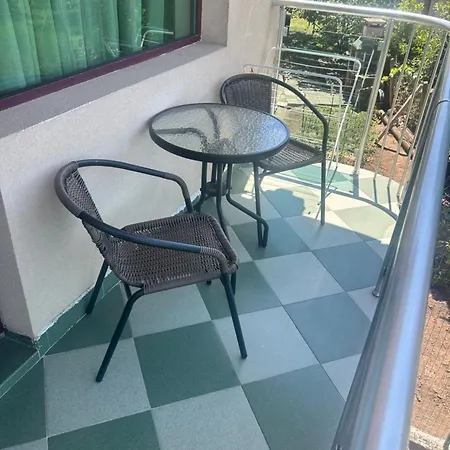 Guest house Stedy *