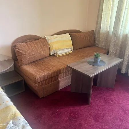 Stedy Guest house *