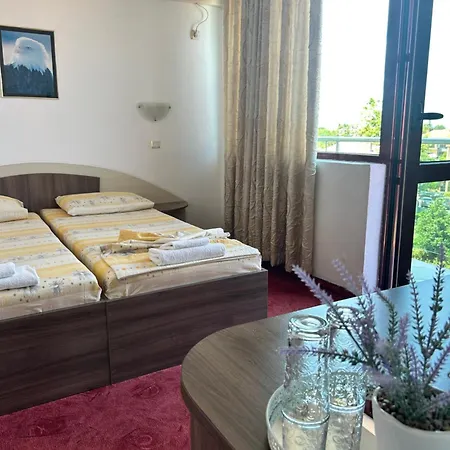 Guest house Stedy