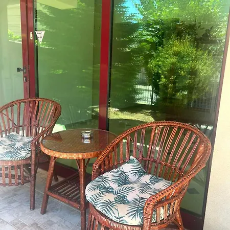 Stedy Guest house